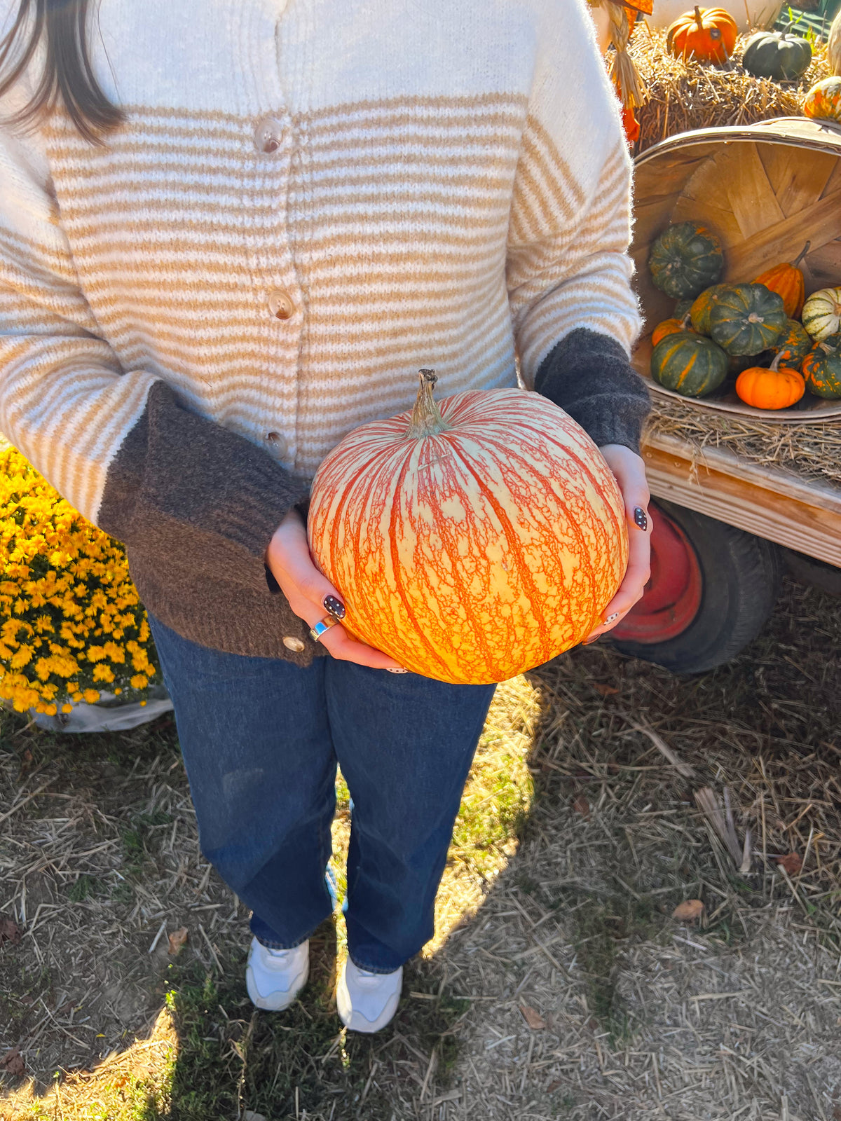 Georgia Sweater Cardigan